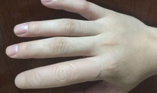 人的食指多长 食指是哪个手指